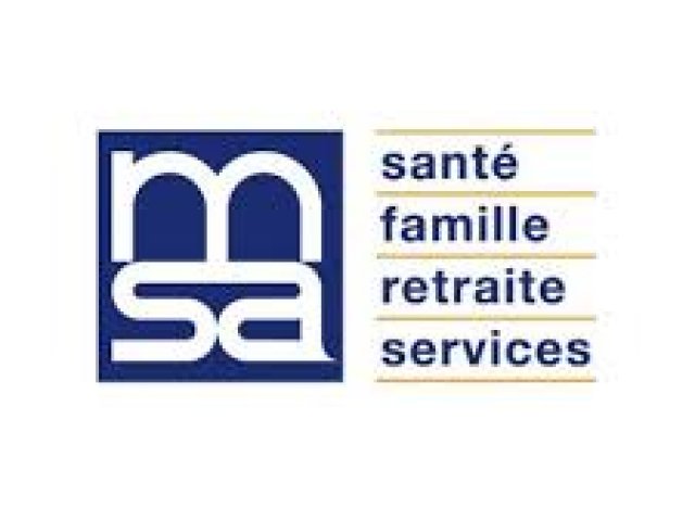 MSA MSA