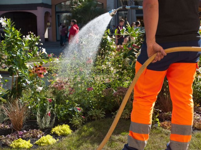 Arrosage EV emploi saisonnier
