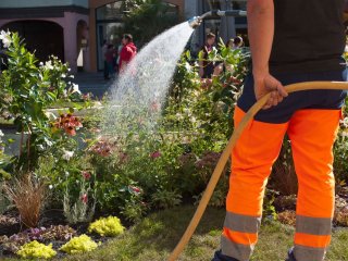 Arrosage EV emploi saisonnier